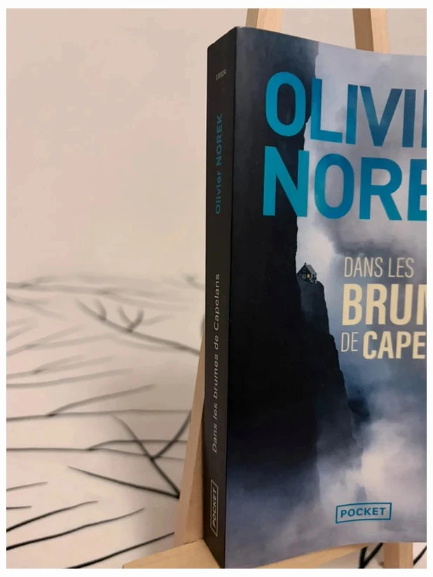 Pocket Olivier Norek Livre Dans les brumes de Capelans – photo 3